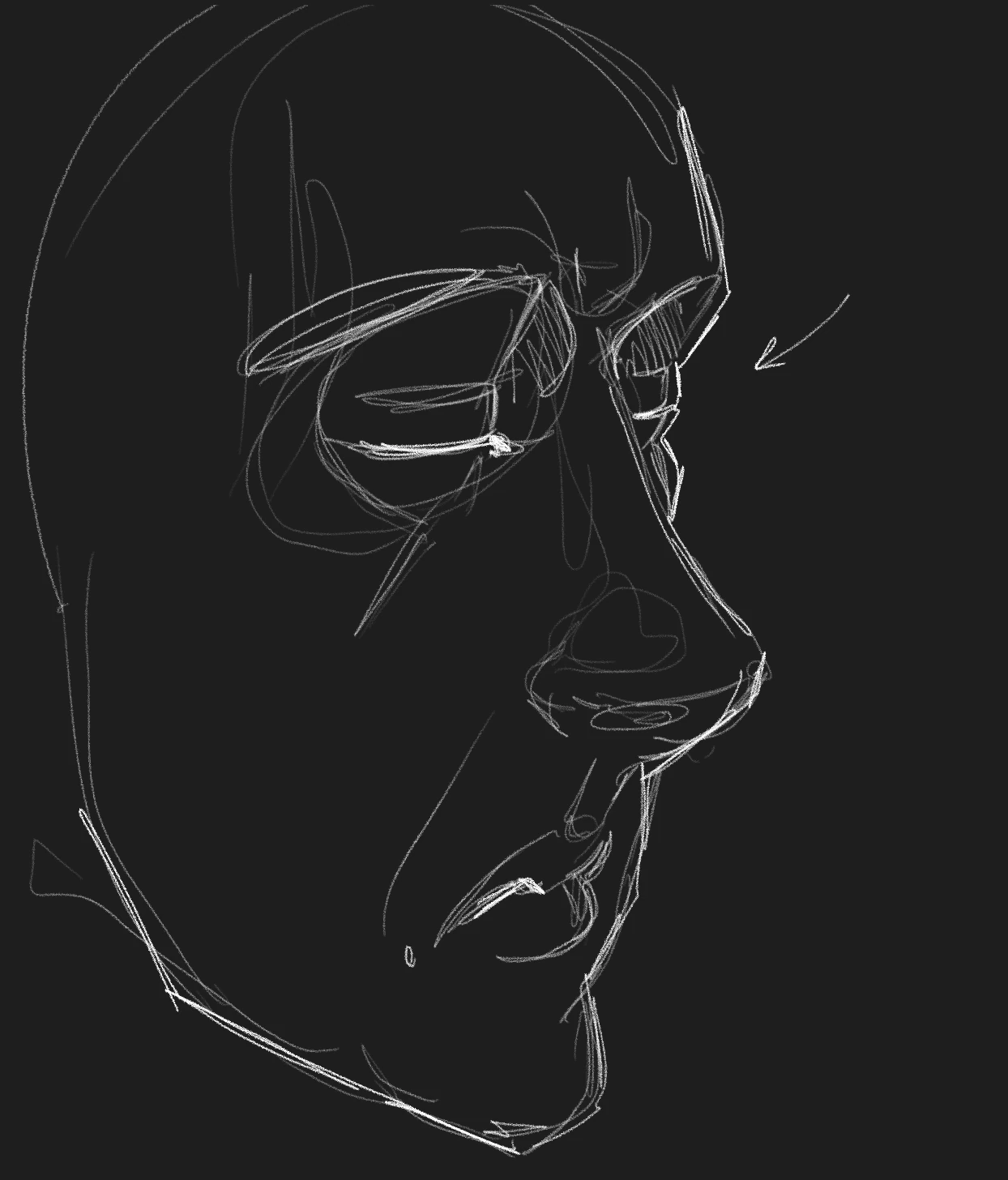 White-line portrait study of a face in three-quarter view