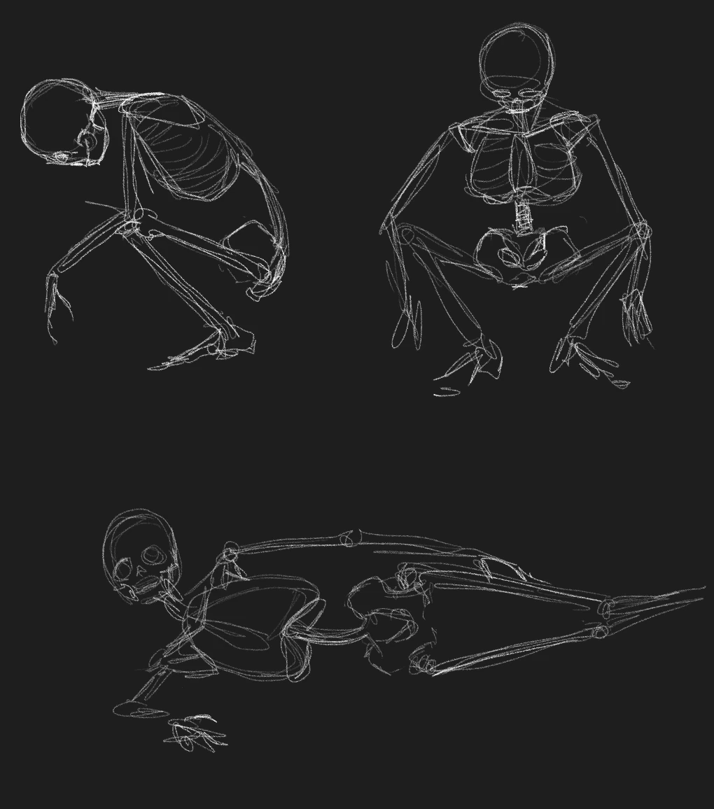 Line studies of a skeleton in three poses