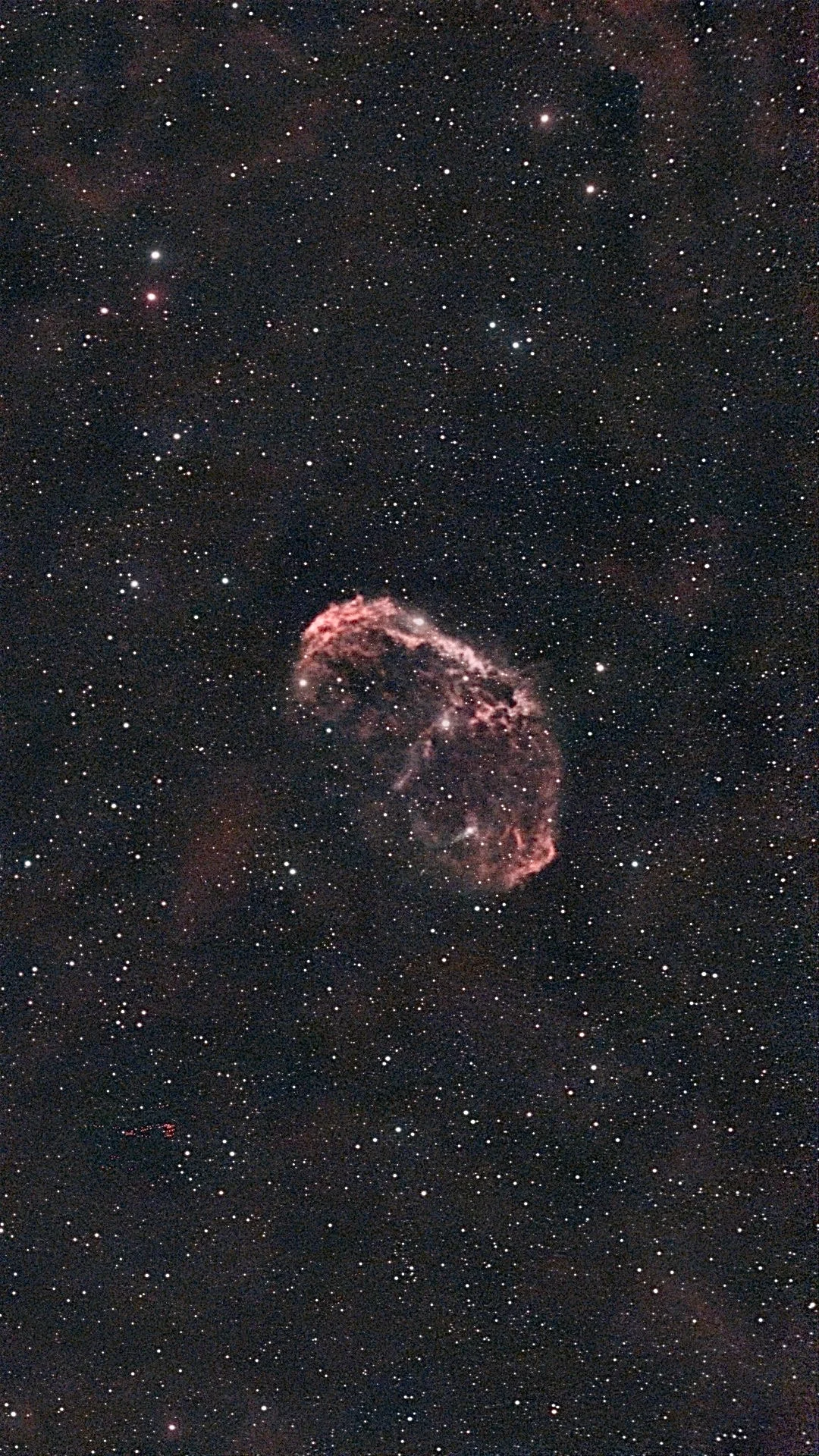 The Crescent Nebula: a small red shell of gas in a dense star field
