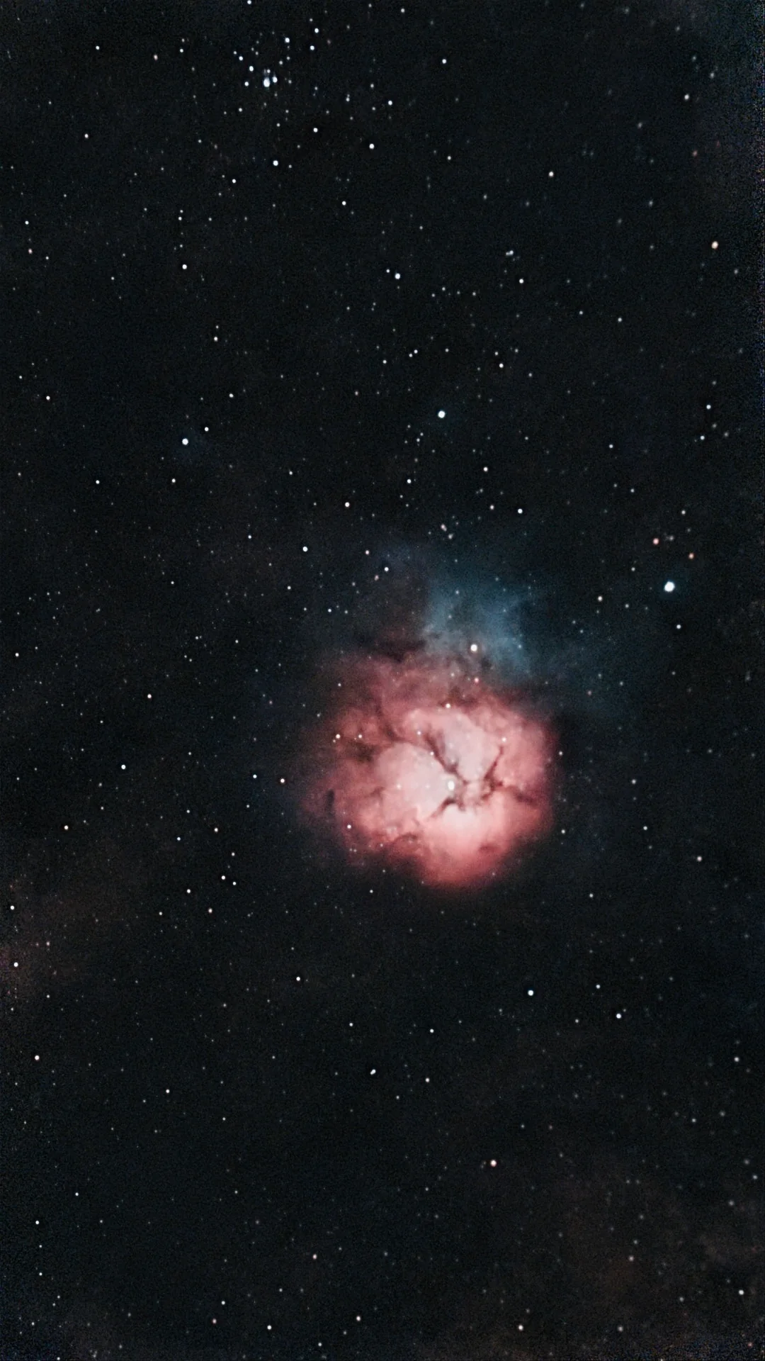 The Trifid Nebula: a small red nebula split by dark lanes, with a blue glow beside it, in a field of stars
