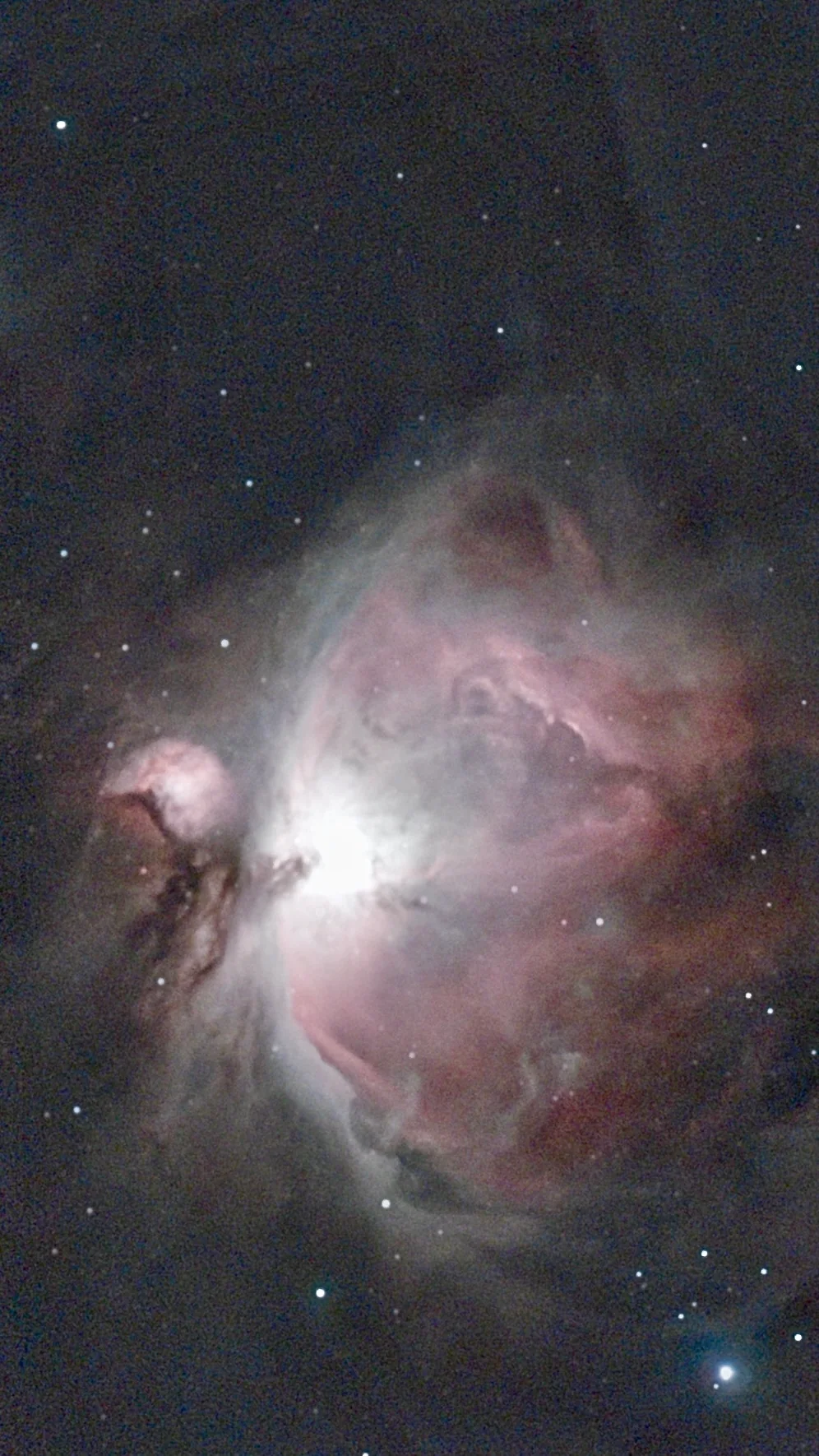 The Orion Nebula: a bright pink and white cloud of gas crossed by dark lanes