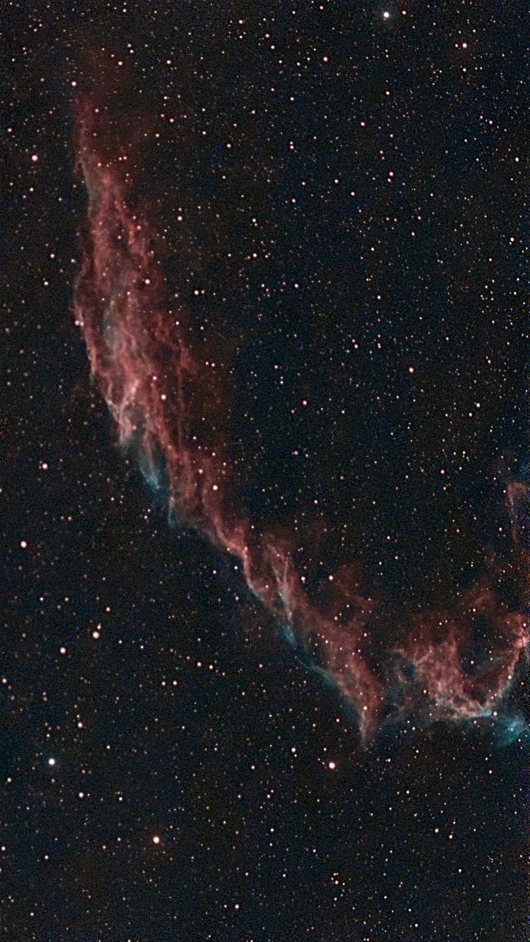 The Eastern Veil Nebula: a long thin arc of red and blue filaments across a star field