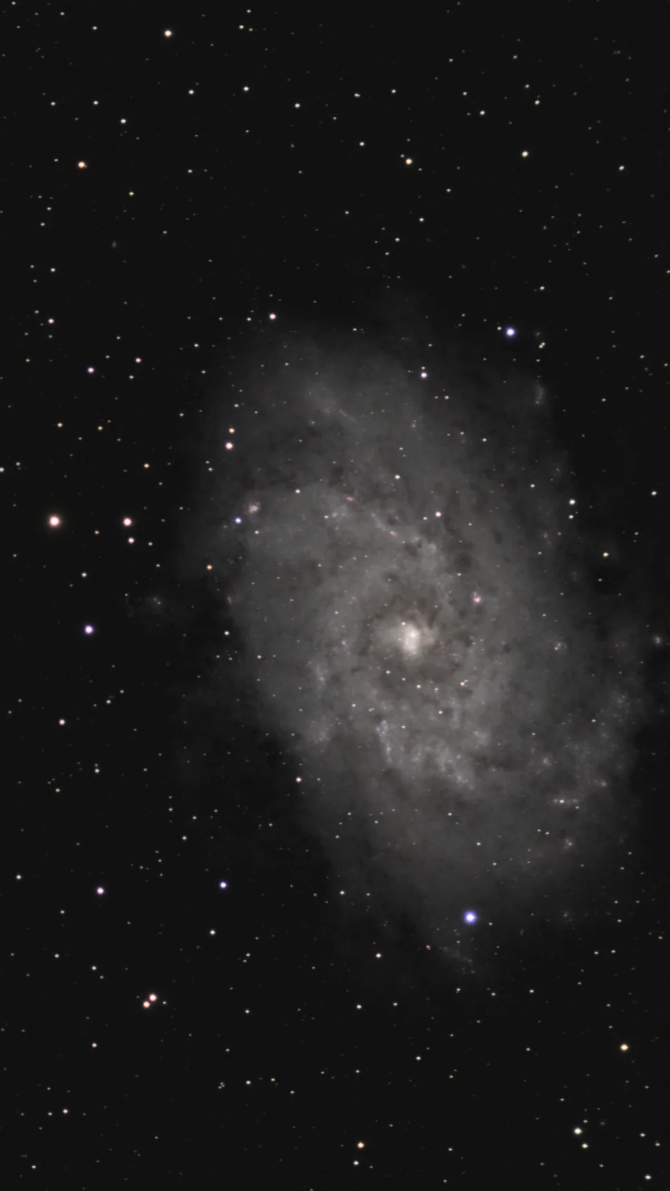 The Triangulum Galaxy, M33, in the selected rendition of the 22 August 2026 stack