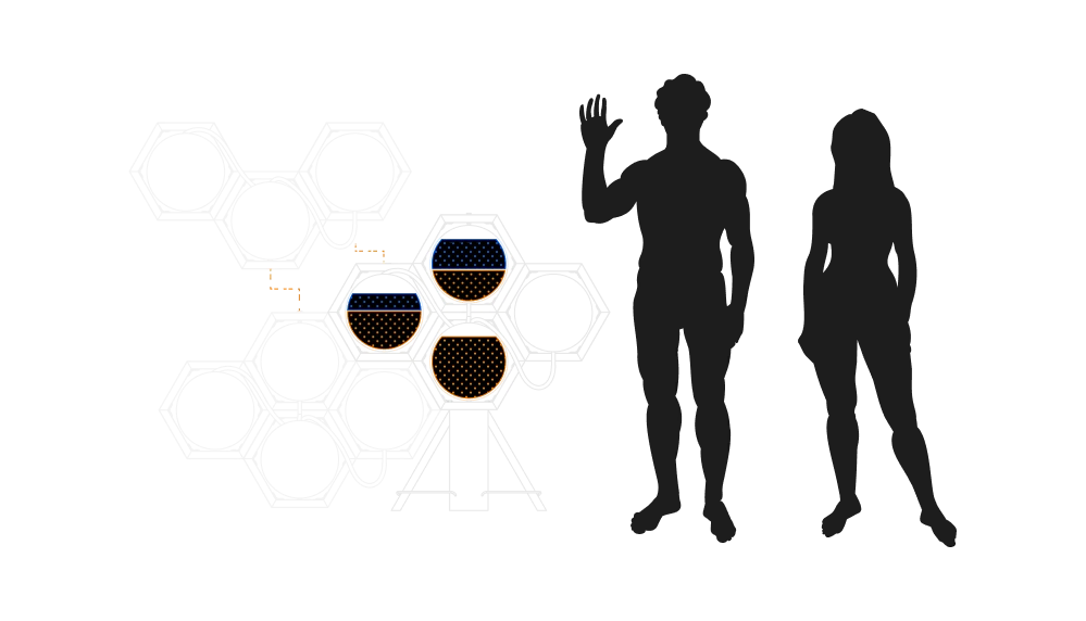 Line drawing of a hexagonal growing structure with two figures for scale
