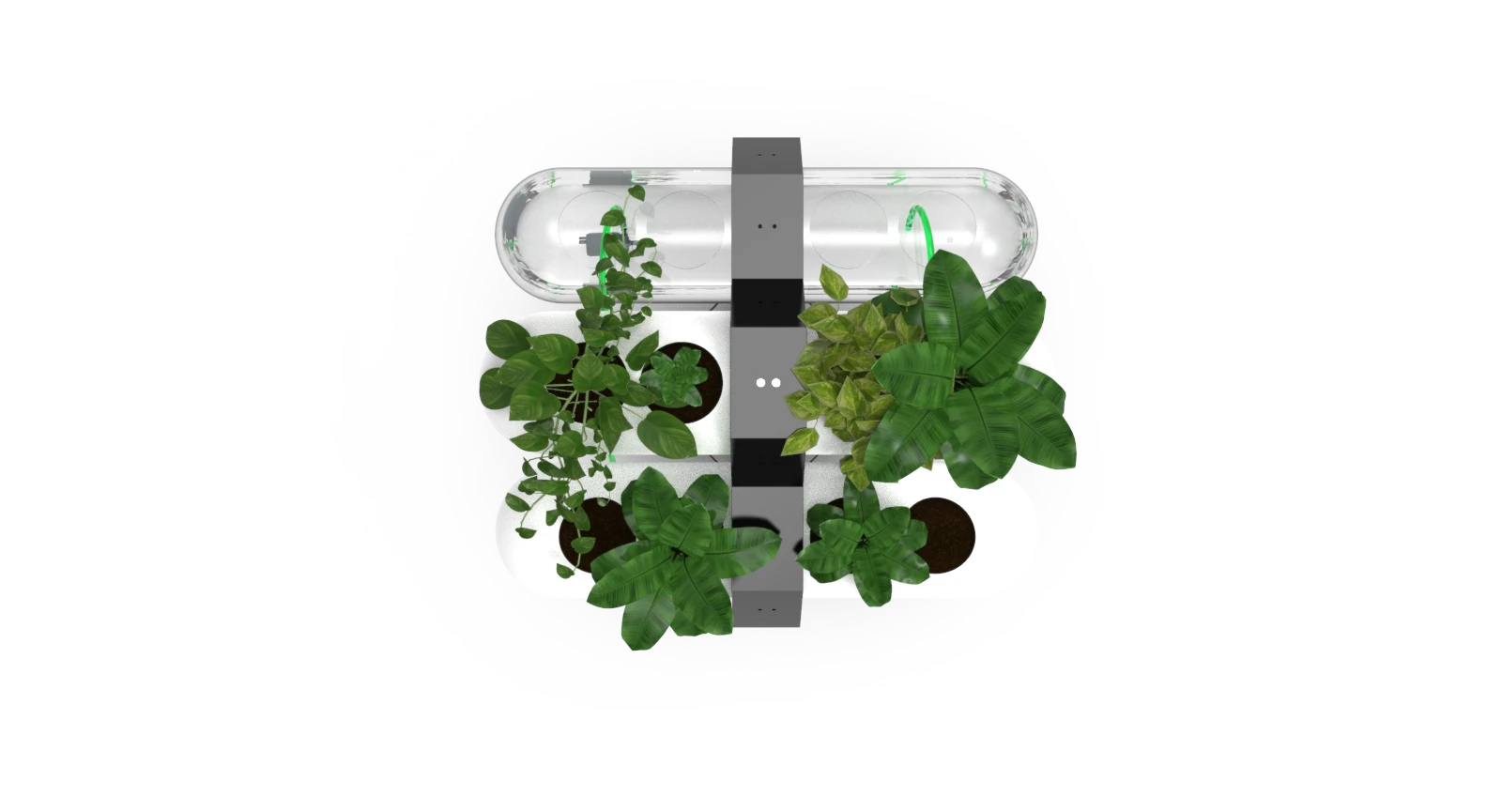 Render of an ACCUA pod from above, planted with leafy greens