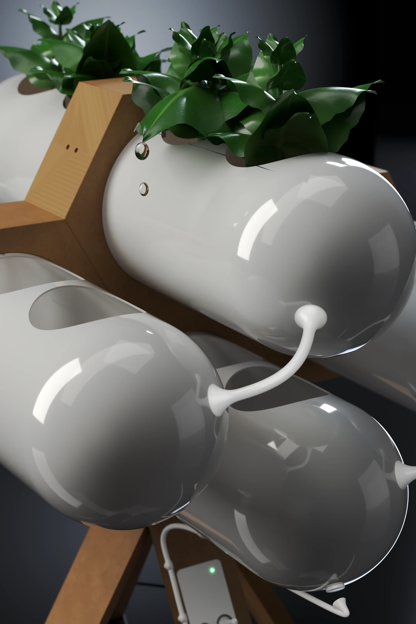 Close-up of Accua in a dark studio: white pods in a pine hexagonal collar, basil growing from the openings of the upper pod with a drop of water falling from a leaf, and a white silicone hose joining two pods