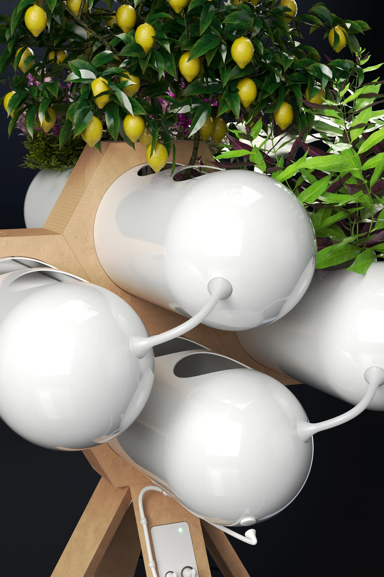 Close portrait view of Accua: glossy white pods in a pine hexagonal collar, lemons and herbs growing from the openings