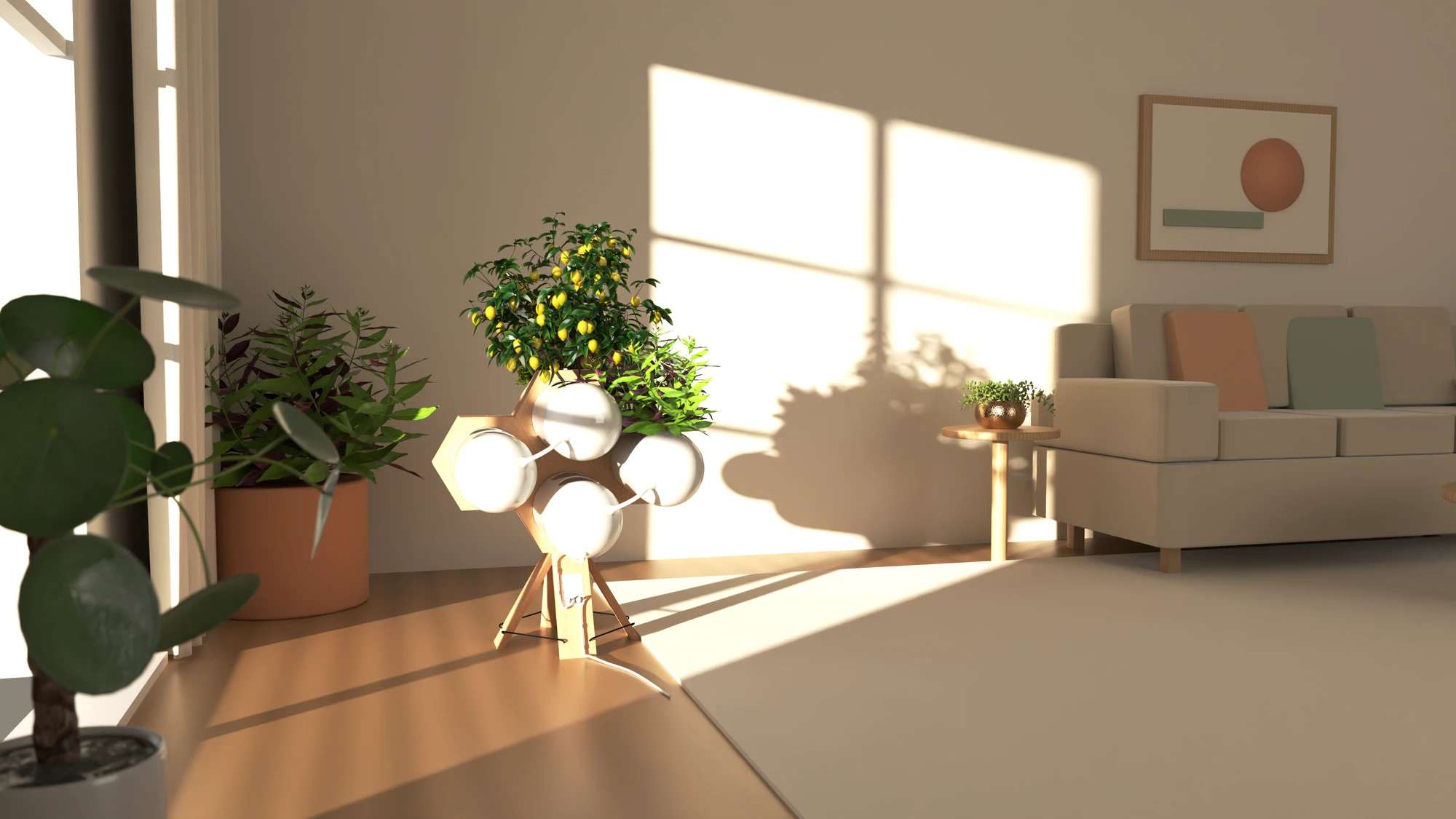 Accua standing on the floor of a sunlit room beside a sofa, with the window frame's shadow across the wall, and potted plants in the corner and by the window
