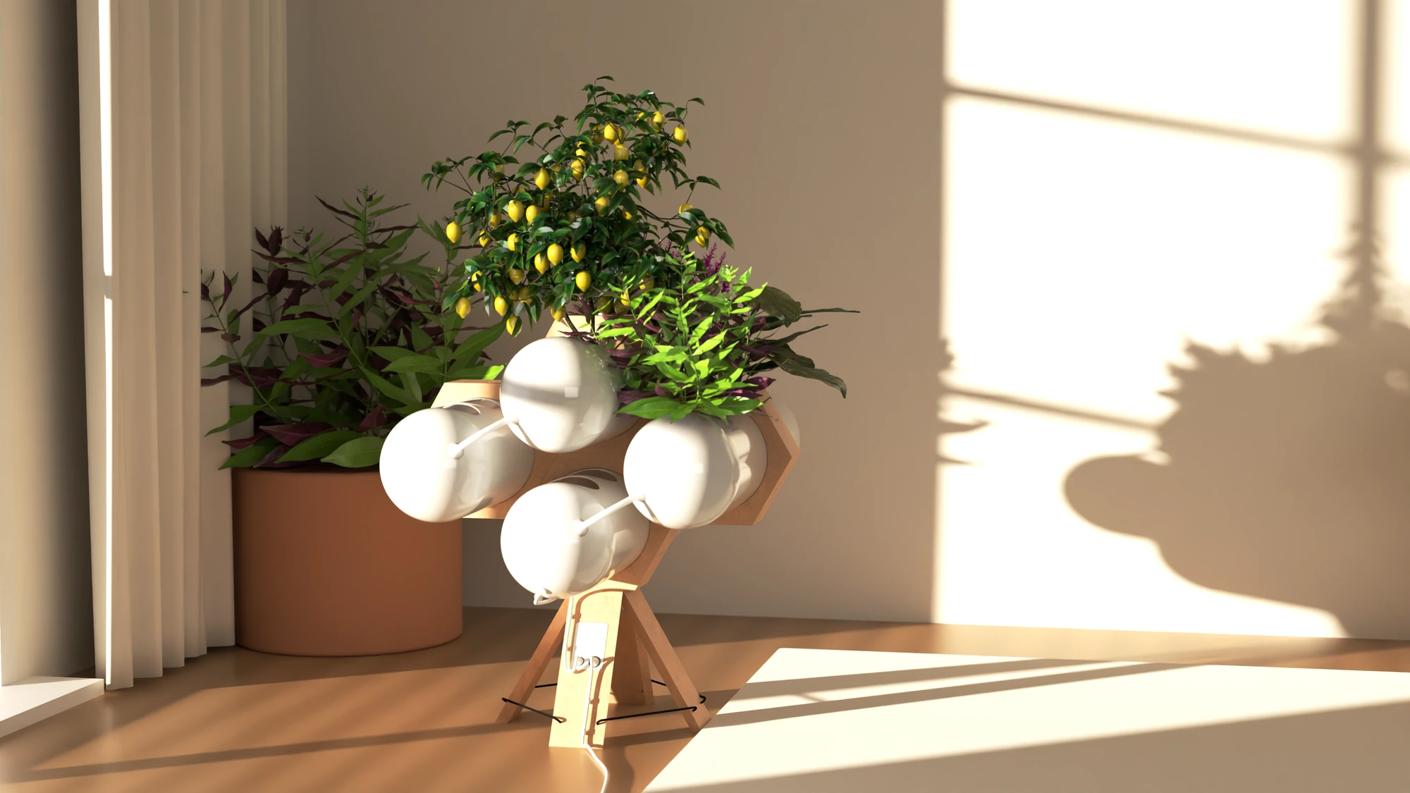 Accua close up in the same room, its shadow with the plants' outline on the sunlit wall behind it