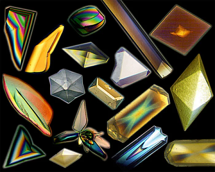Protein crystals grown in microgravity
