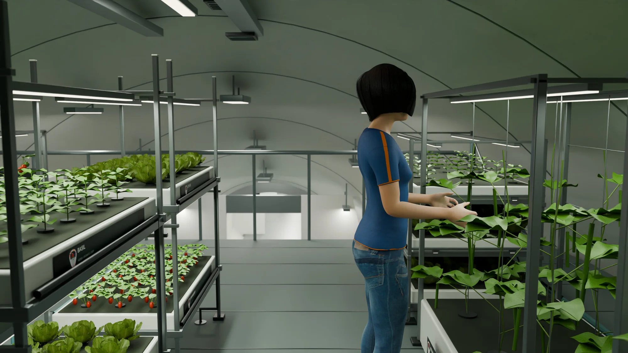 A crew member tending climbing plants between lit growing racks of lettuce, basil and strawberries.