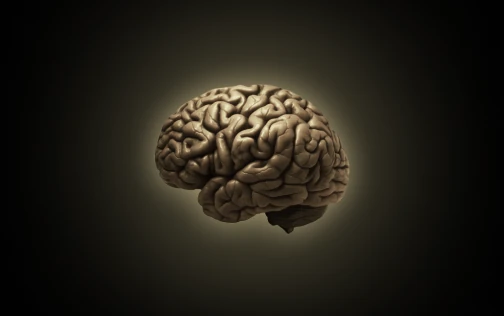A human brain lit softly against a dark background